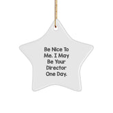 Funny Director Gift, Be Nice to Me, Star Ornament for Men, Christmas Unique Gifts from Friends - Image 1